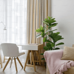 premium_photo-1674815329430-99ed